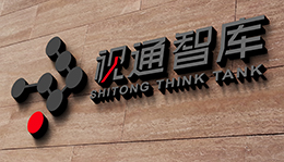 央視國際——視通智庫